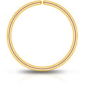 BodyCandy Single Hoop Nose 14k Yellow Gold Filled Nose Hoop Ring — detail close-up