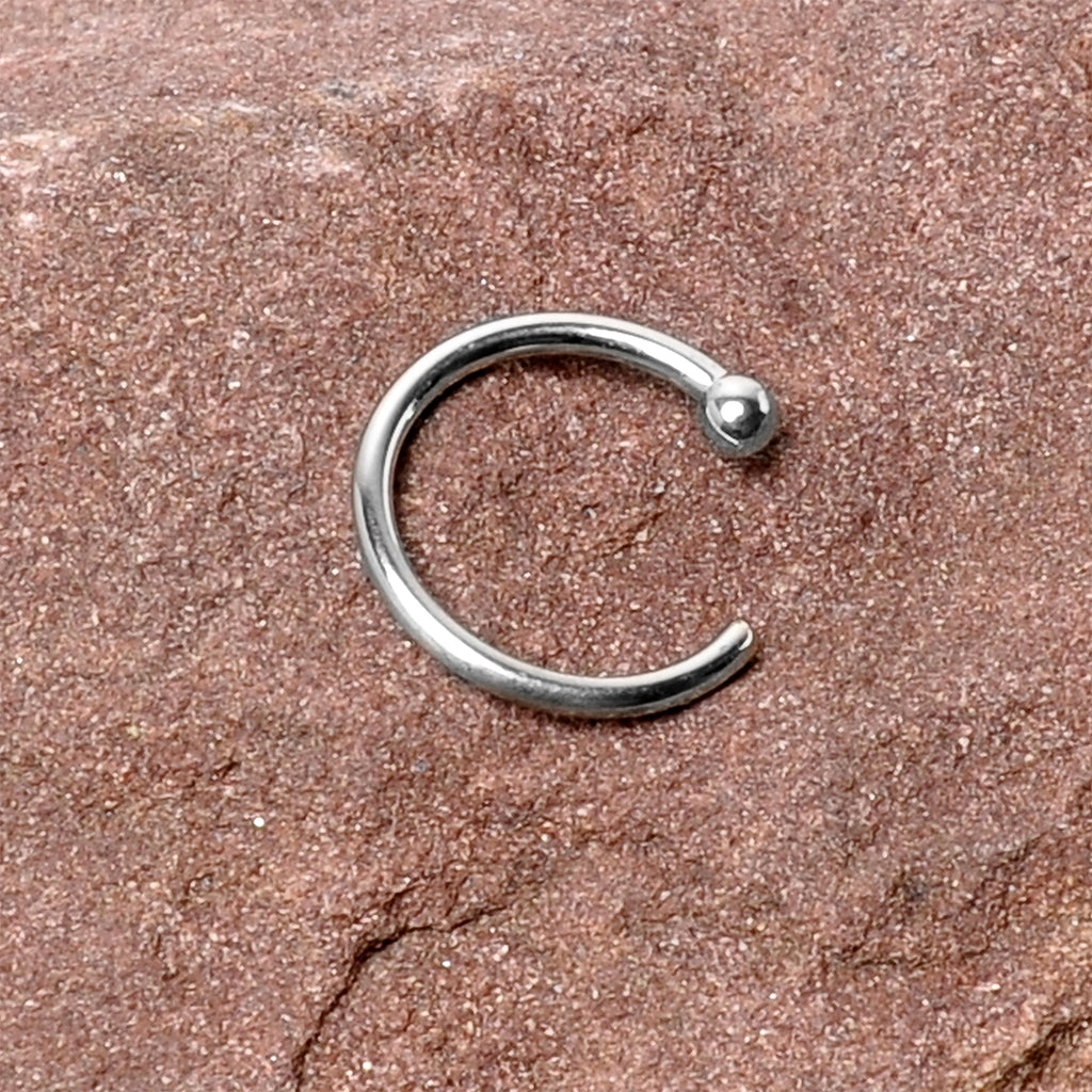 BodyCandy 20G 5/16 Solid 14K White Gold Nose Hoop — comparison shot