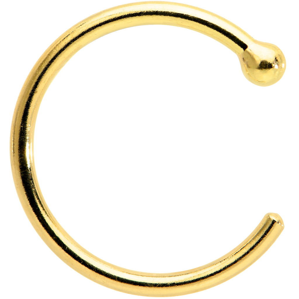 BodyCandy 20G 5/16 Solid 18K Yellow Gold Nose Hoop — packaging