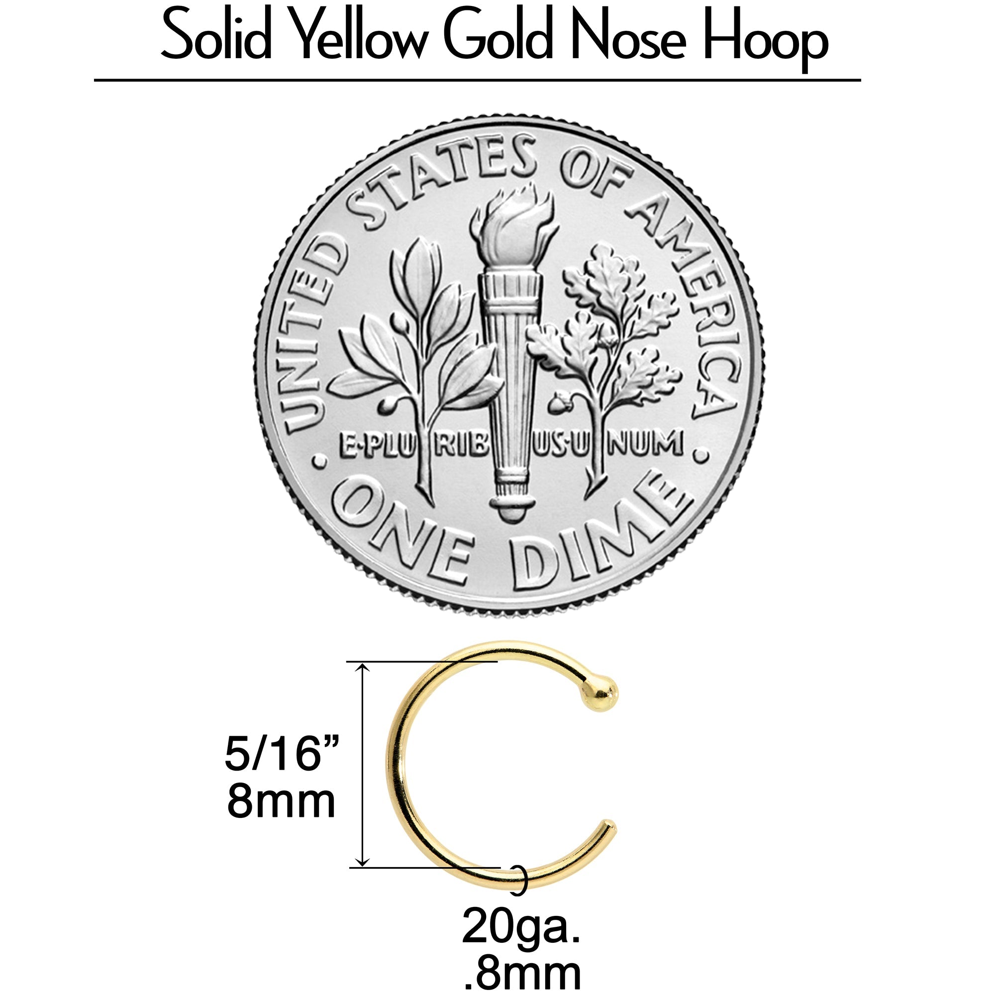 BodyCandy 20G 5/16 Solid 18K Yellow Gold Nose Hoop — alternative angle