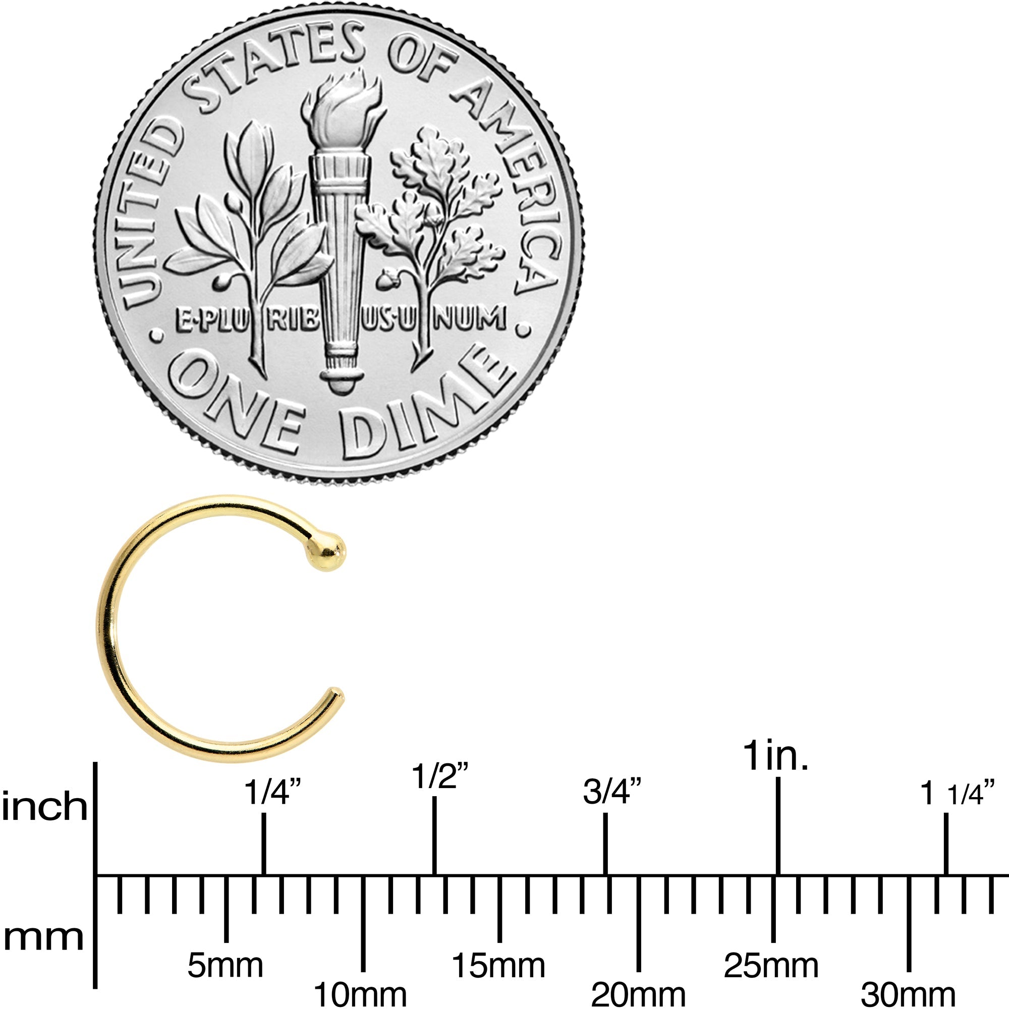 BodyCandy 20G 5/16 Solid 18K Yellow Gold Nose Hoop — in-use photo