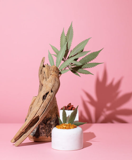 goji berry & hemp™ fragrance oil – makesy®