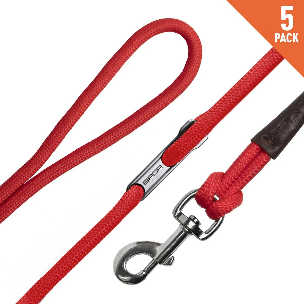 GPCA GPCA Dog Leash LITE Bundle — lifestyle context