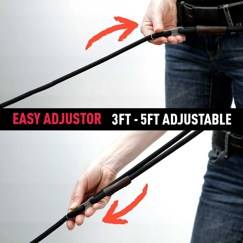 GPCA GPCA Dog Leash LITE Bundle — product on model