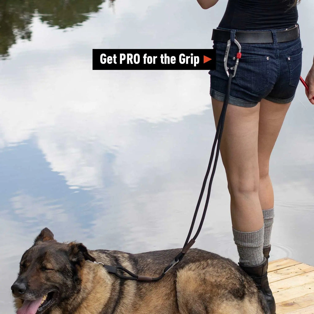 GPCA GPCA Dog Leash LITE Bundle — in-use photo