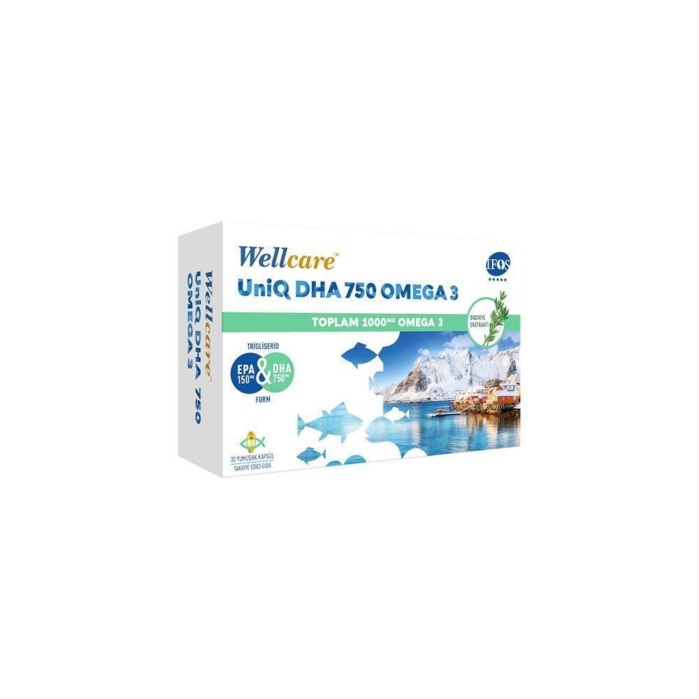 Wellcare UniQ DHA 750 Omega 3 Fish Oil Capsules, 30 Count