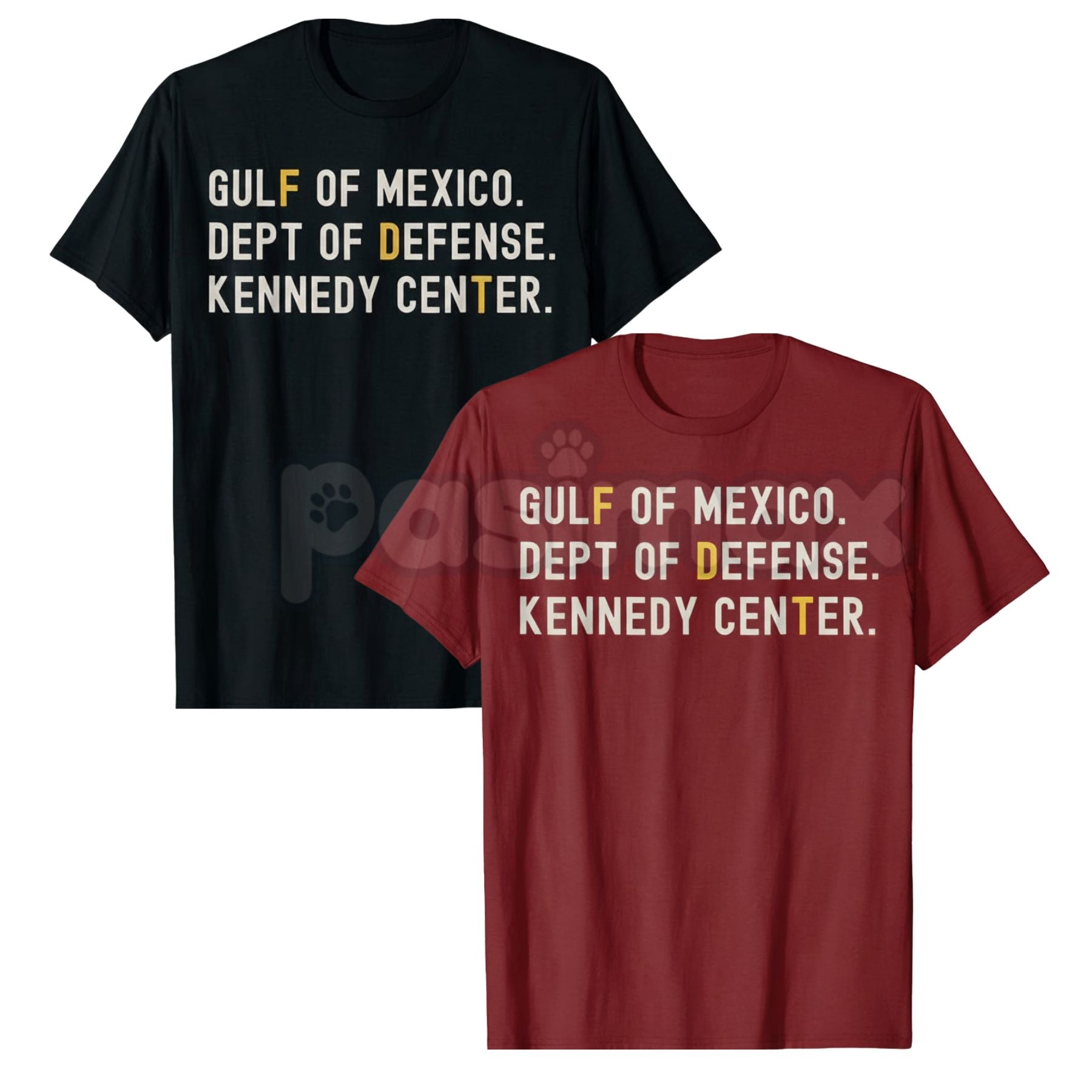 Pasimax Gulf of Mexico Dept of Defense T-Shirt - Kennedy Center Graphic Tee, Esoteric Government Agency Apparel, Niche Milita