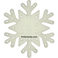 BodyCandy Glow in the Dark Snowflake Travel Flat Back Earring Palette — main product shot