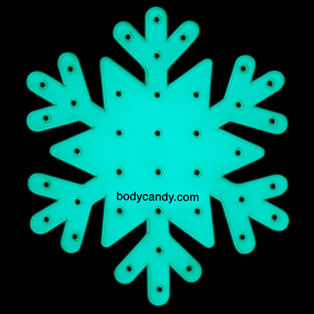 BodyCandy Glow in the Dark Snowflake Travel Flat Back Earring Palette — detail close-up