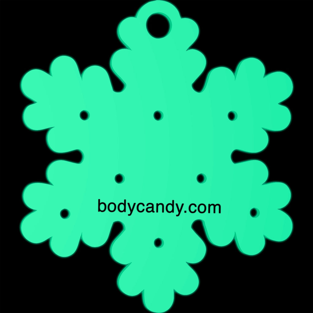 BodyCandy Glow in the Dark Christmas Ornament Travel Flat Back Earring Palette — back view