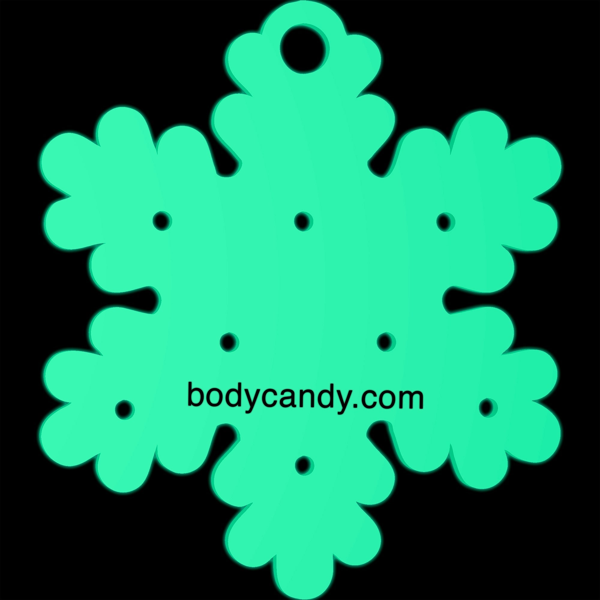 BodyCandy Glow in the Dark Christmas Ornament Travel Flat Back Earring Palette — back view
