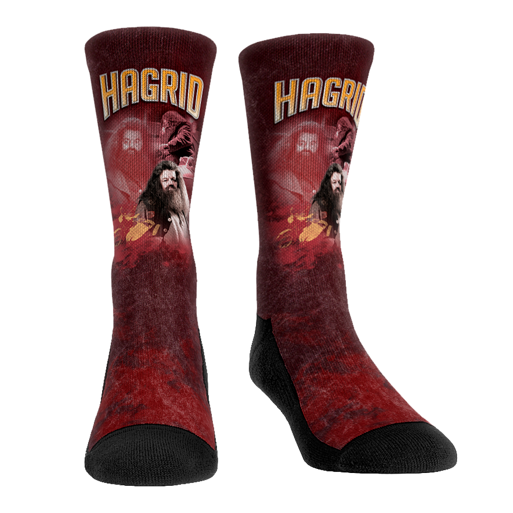 Rock 'Em Socks Rock 'Em Socks Harry Potter - Hagrid  - Retro Photo — main product shot