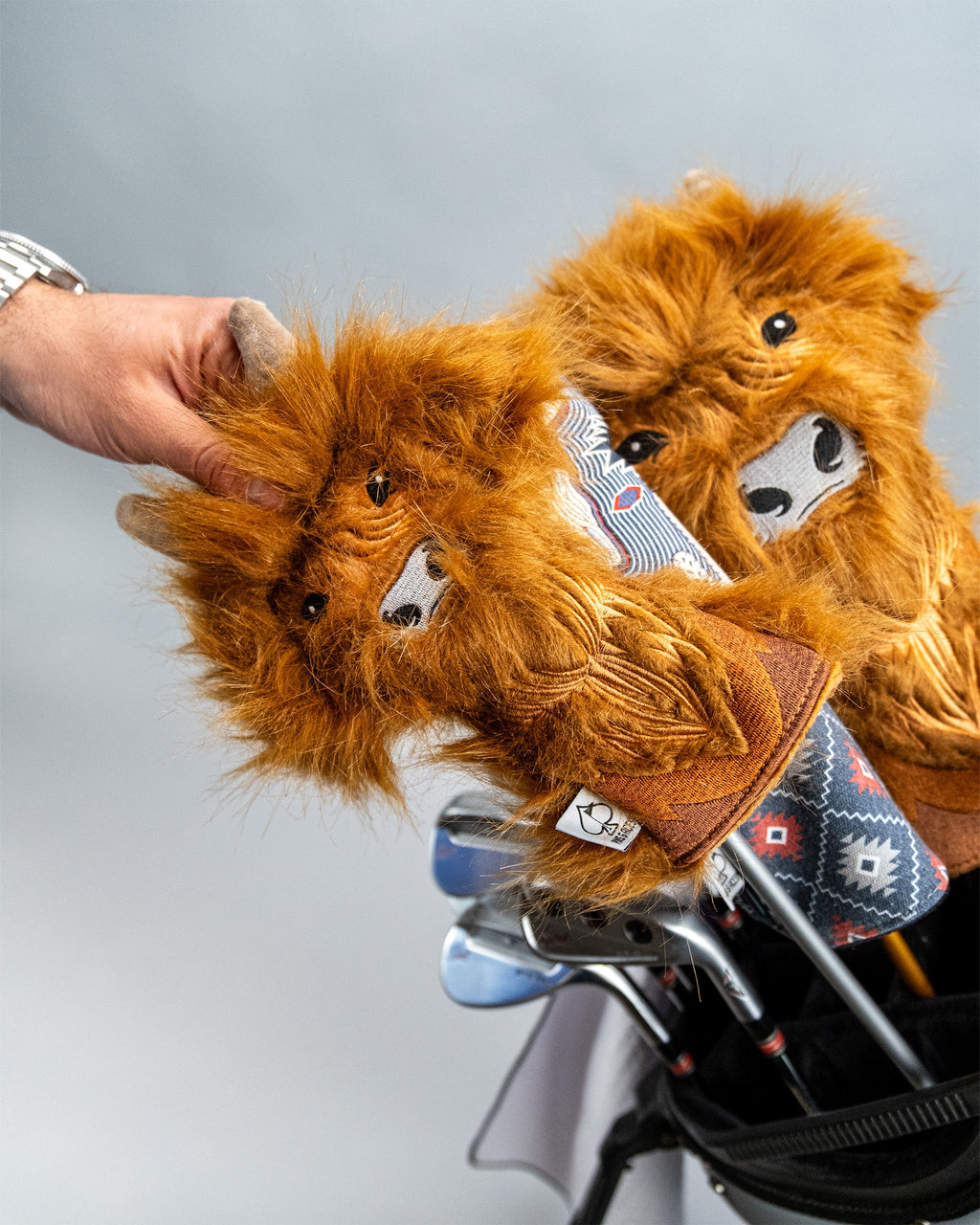 Pins and Aces Highland Cow - Hybrid Cover — flat-lay composition