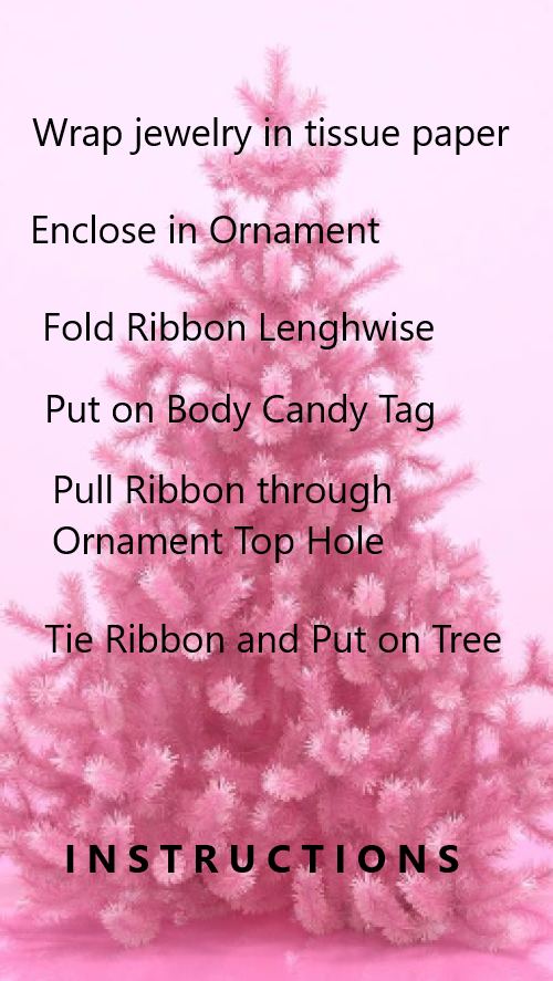 BodyCandy Body Candy Ornament Gift Packaging — back view