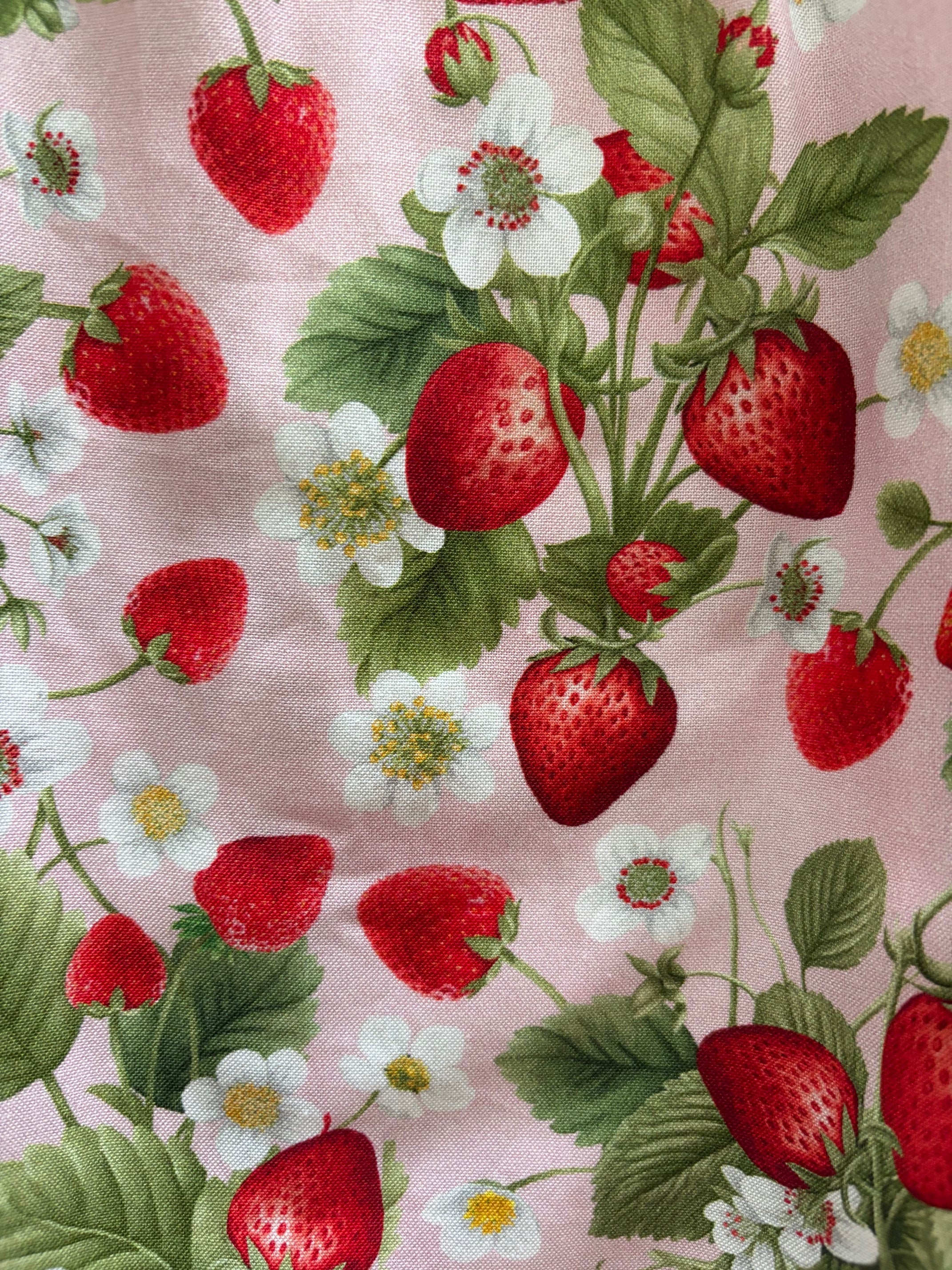 Strawberry Collared Dress - Plus Sizes only