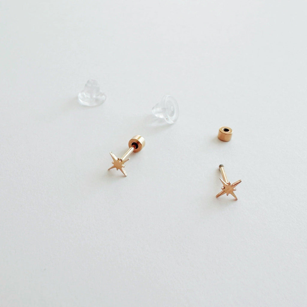 Flat Back- Teeniest Tiniest Wish Upon A Star Earring Studs – Plant Dosage LLC, view 5