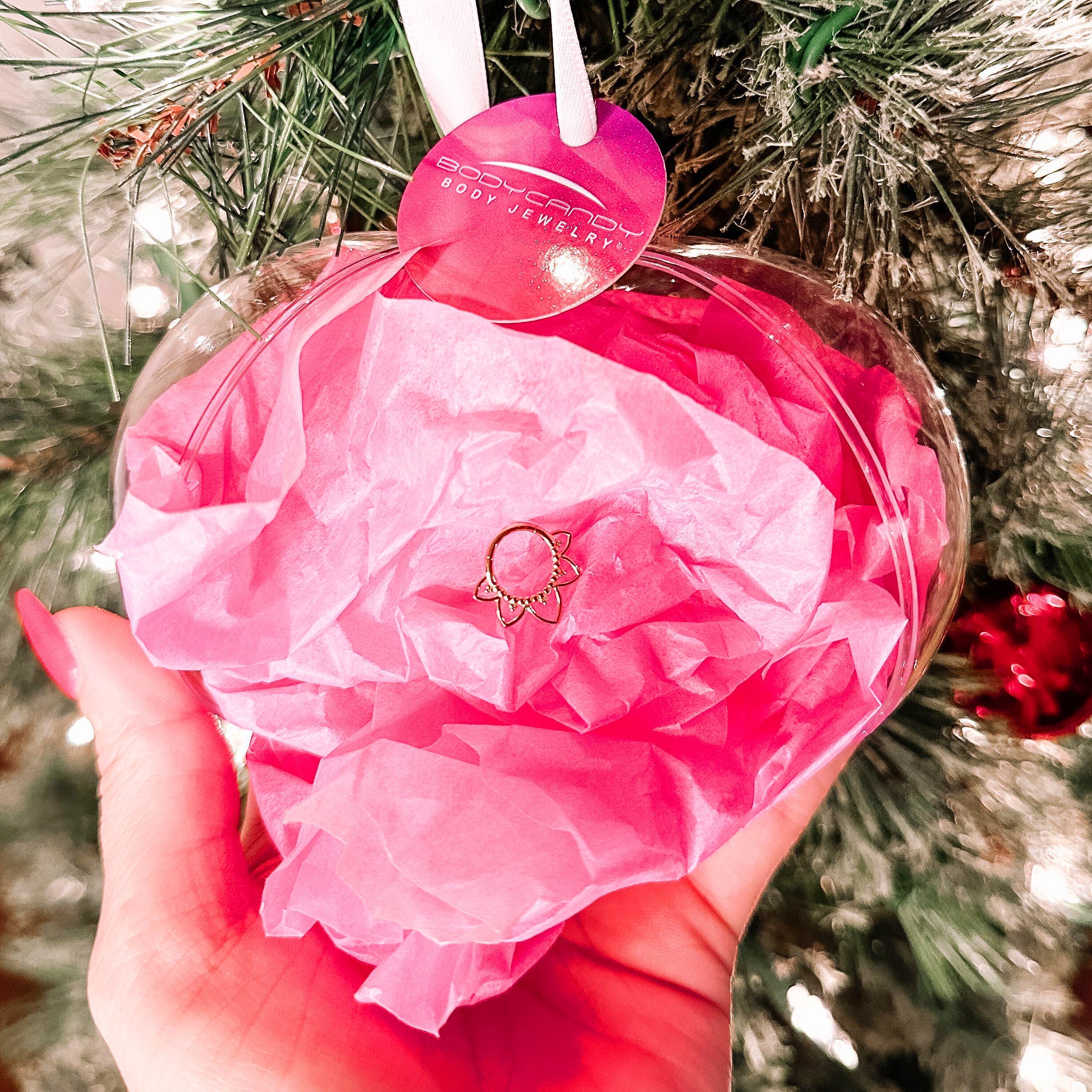 BodyCandy Body Candy Ornament Gift Packaging — detail close-up