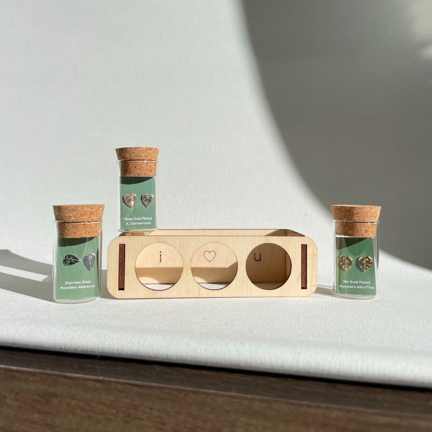 Custom Etched Propagation Stand + 3 Set Tiny Houseplant Earring Studs – Plant Dosage LLC, view 2