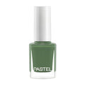 Pastel Vegan, Cruelty-Free, and Halal Nail Polish - Thick Brush for Easy Application, Chemical-Free Formula
