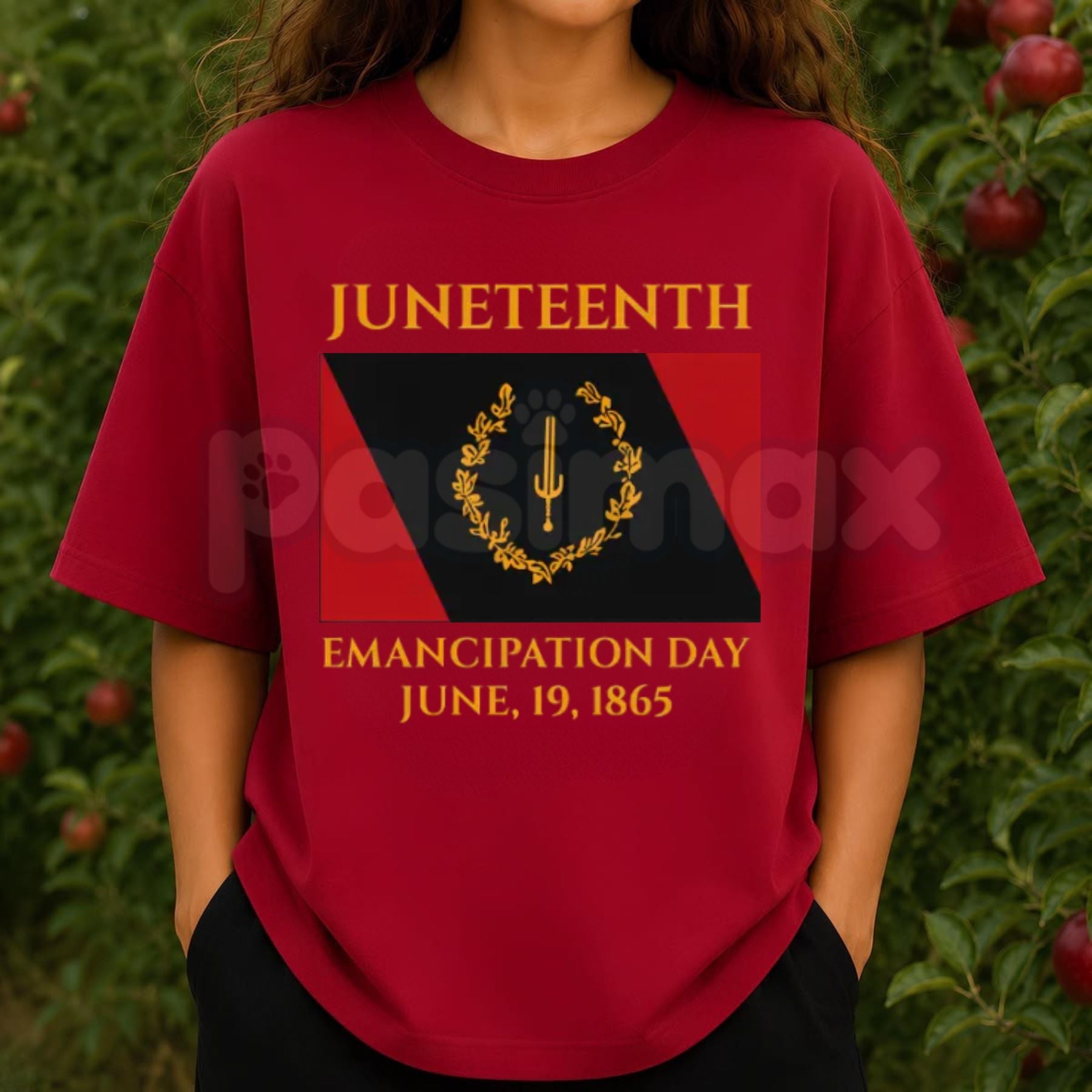 Juneteenth Emancipation Day T-Shirt – Black American Heritage Flag June 19 1865 Graphic Tee