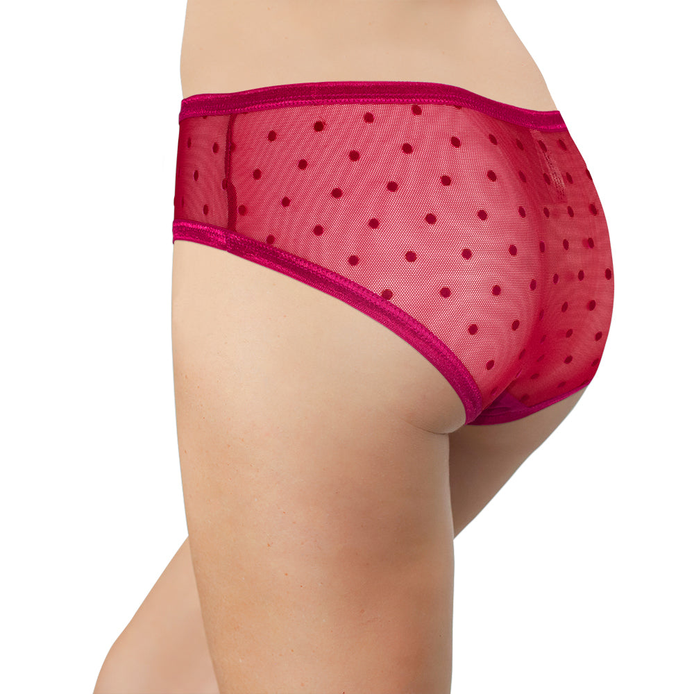 Love Libby Panties Polka Dot Mesh Bikini with Satin Trim — side view