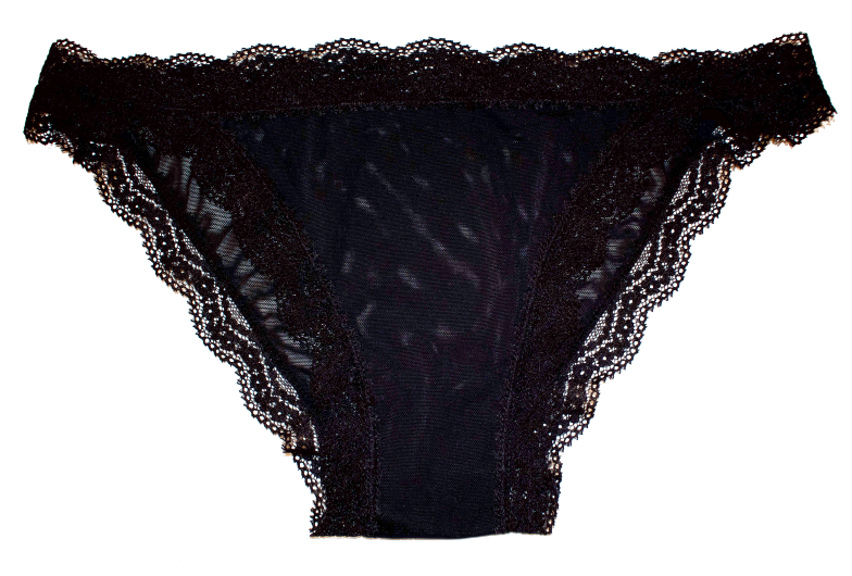 Love Libby Panties Mesh Bikini with Lace Trim at the Waist and Leg, XS-2X — alternative angle