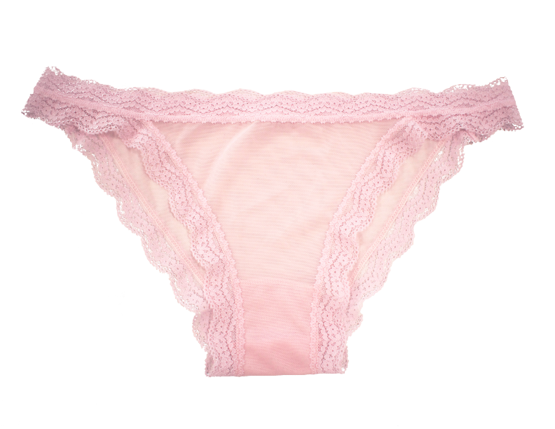 Love Libby Panties Mesh Bikini with Lace Trim at the Waist and Leg, XS-2X — main product shot