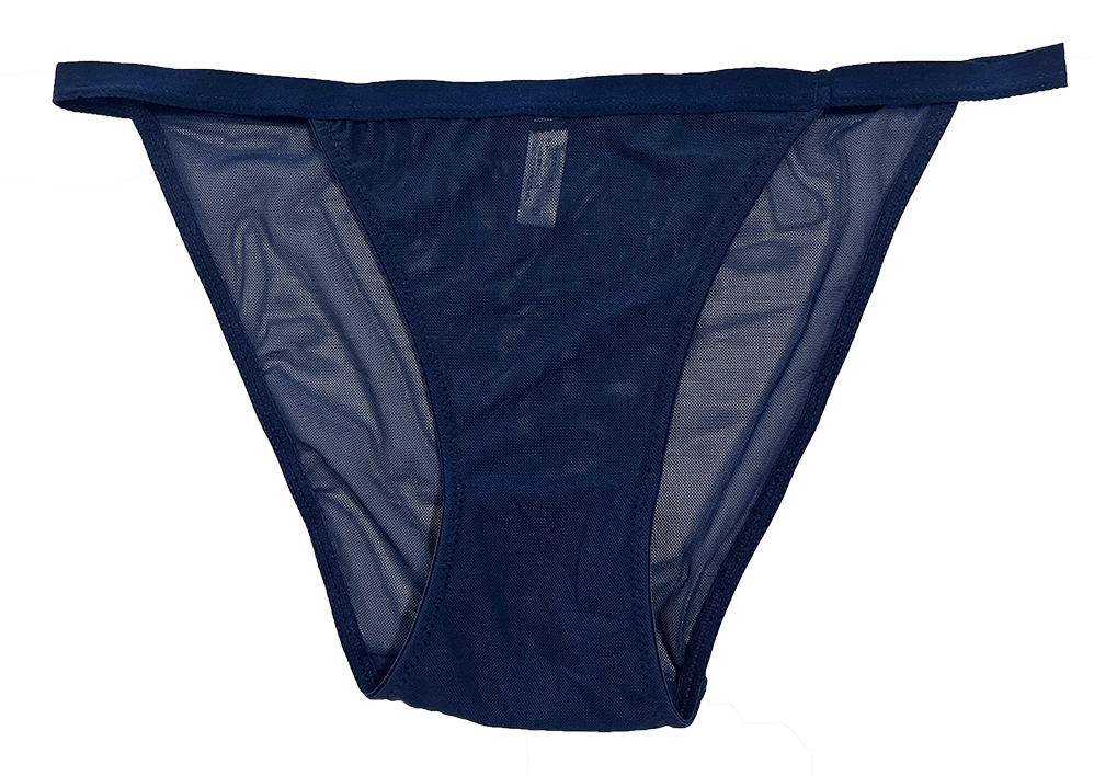 Love Libby Panties Mesh Bikini with Elastic Waist, XS-2X - Buy More Save More — underwear category context