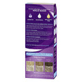 Palette Hair Dye - Ash Light Blonde (Küllü Açık Sarı) - Intense Color & Nourishing Formula