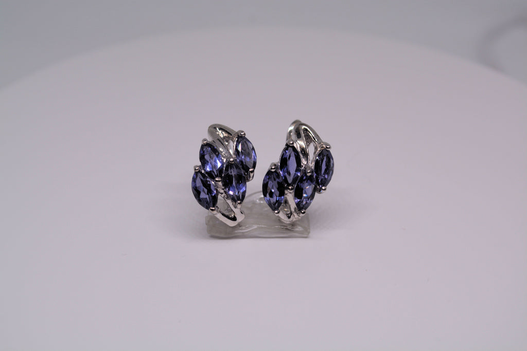 Just Neat Stuff Iolite Earrings