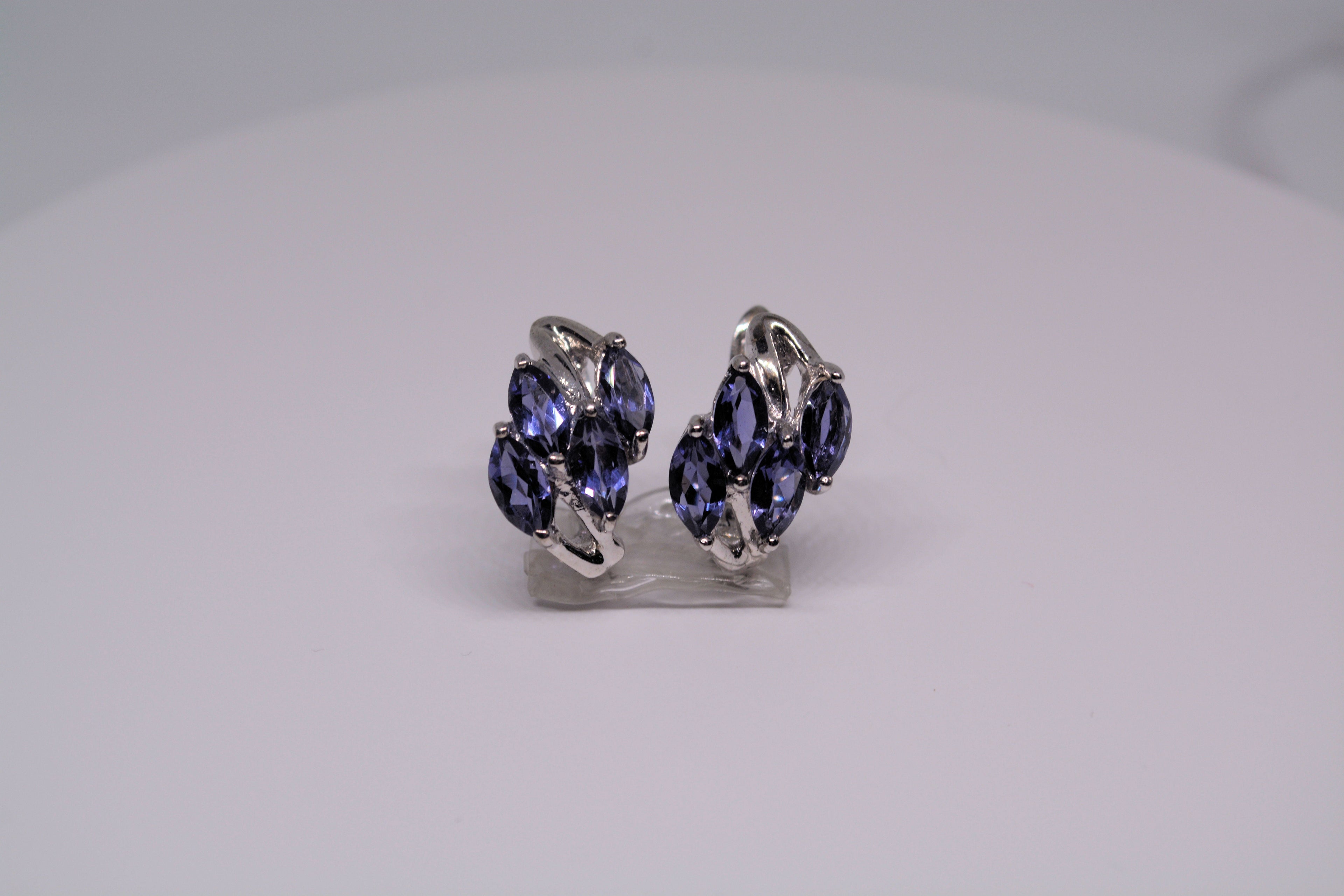 Just Neat Stuff Iolite Earrings