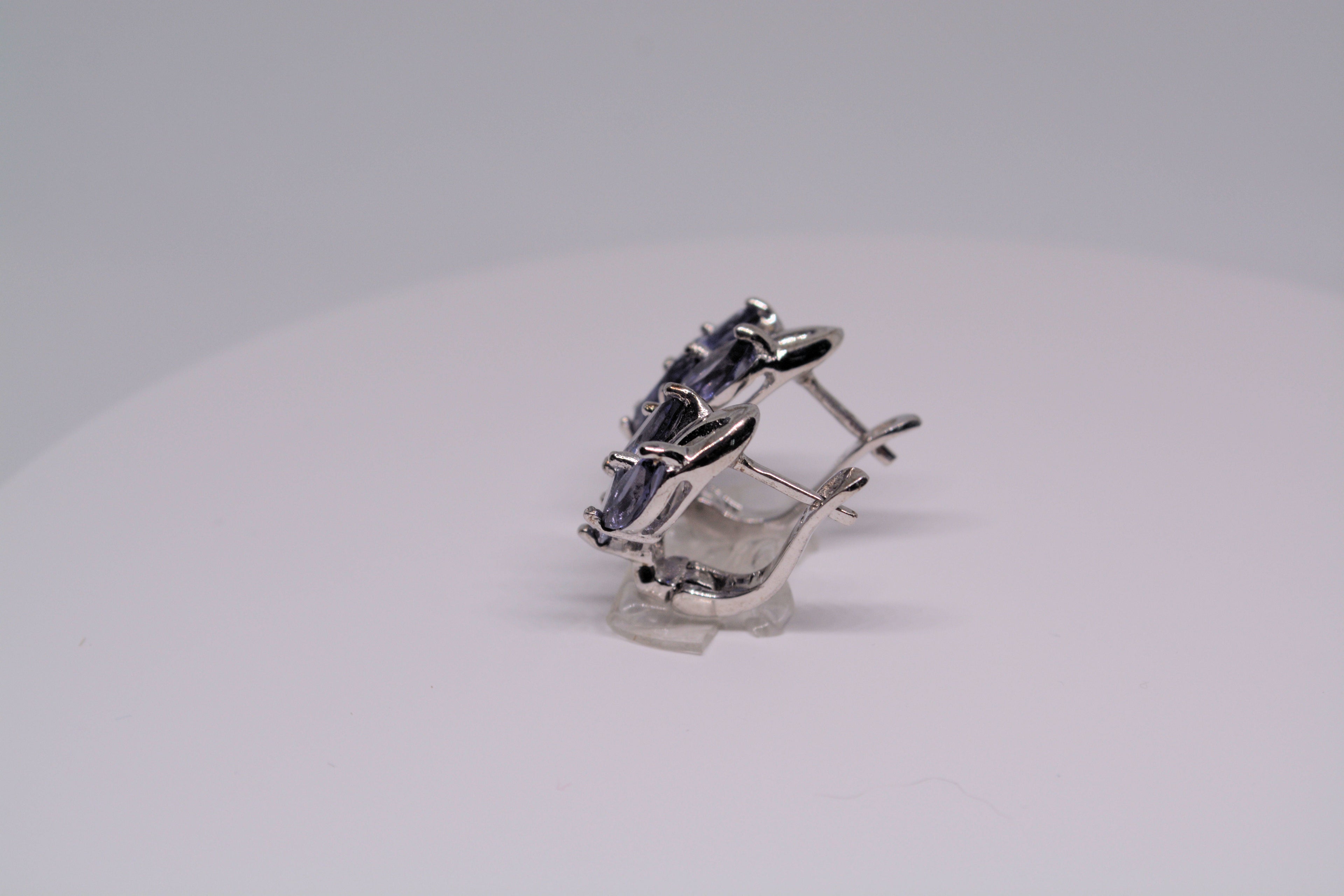 Just Neat Stuff Iolite Earrings