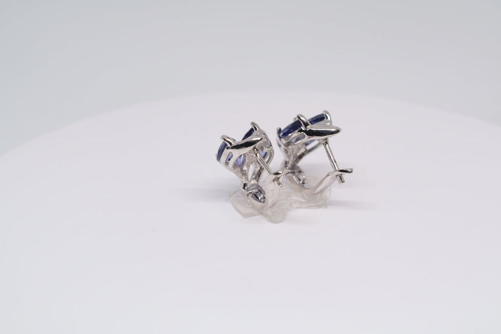 Just Neat Stuff Iolite Earrings
