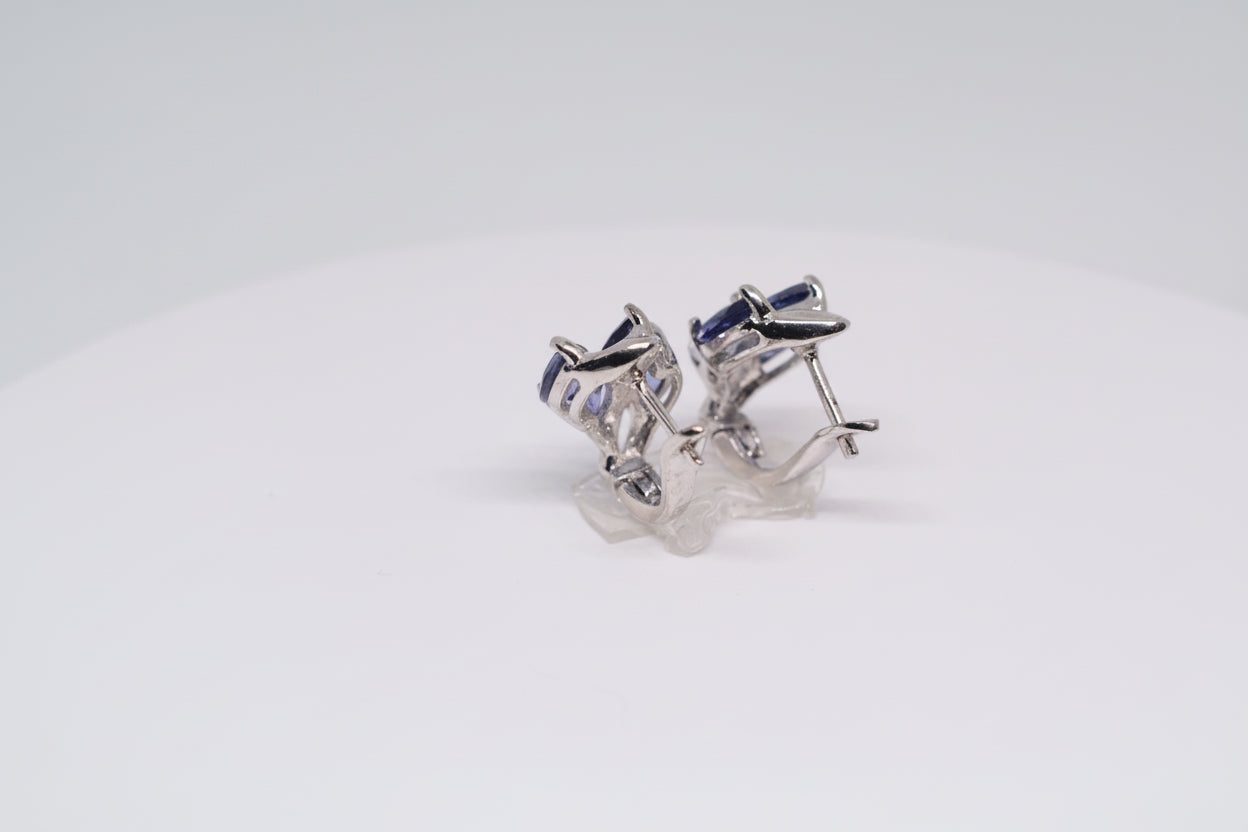 Just Neat Stuff Iolite Earrings
