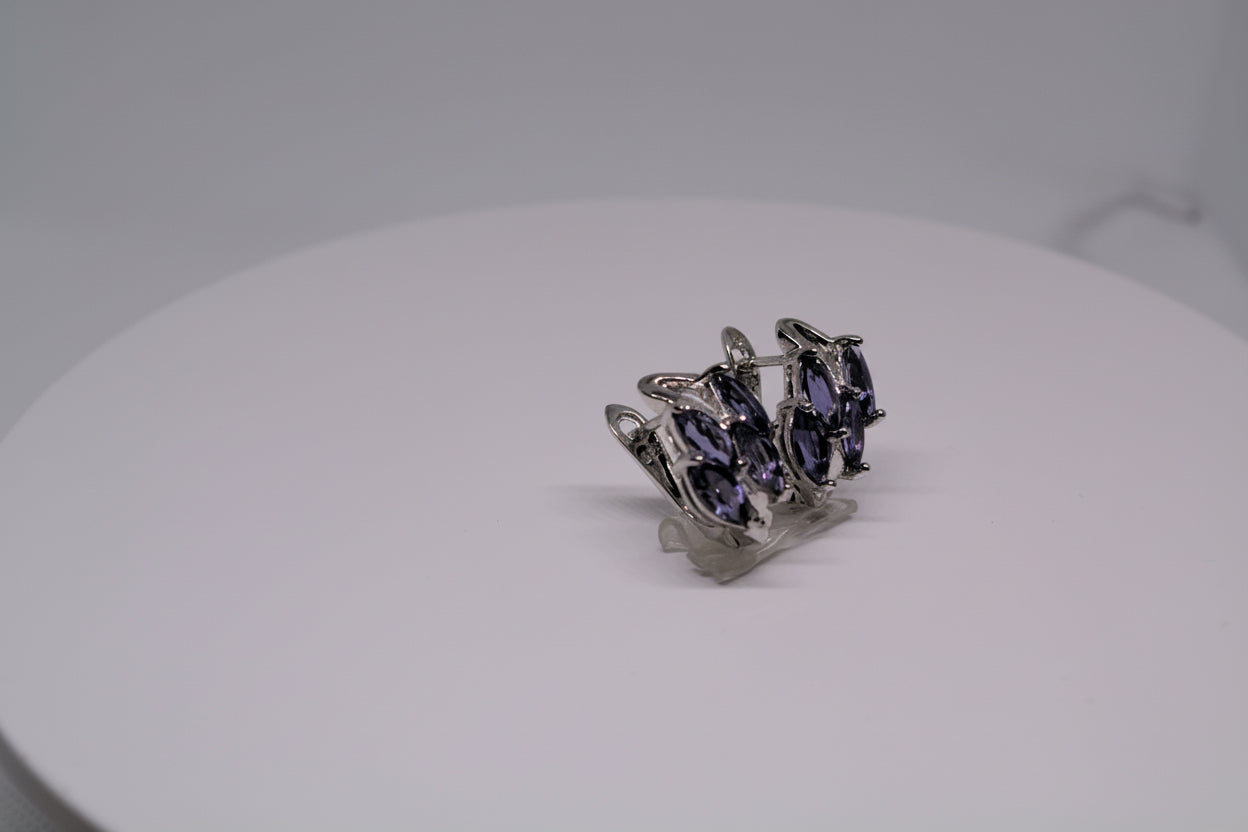 Just Neat Stuff Iolite Earrings