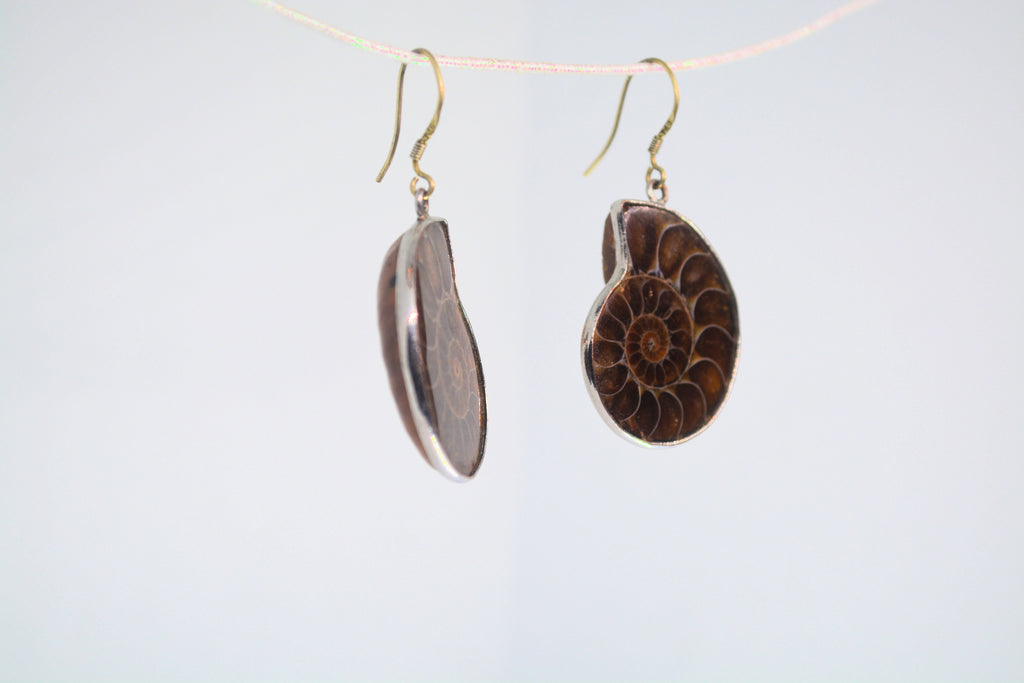 Just Neat Stuff Ammonite Fossil Earrings — lifestyle context