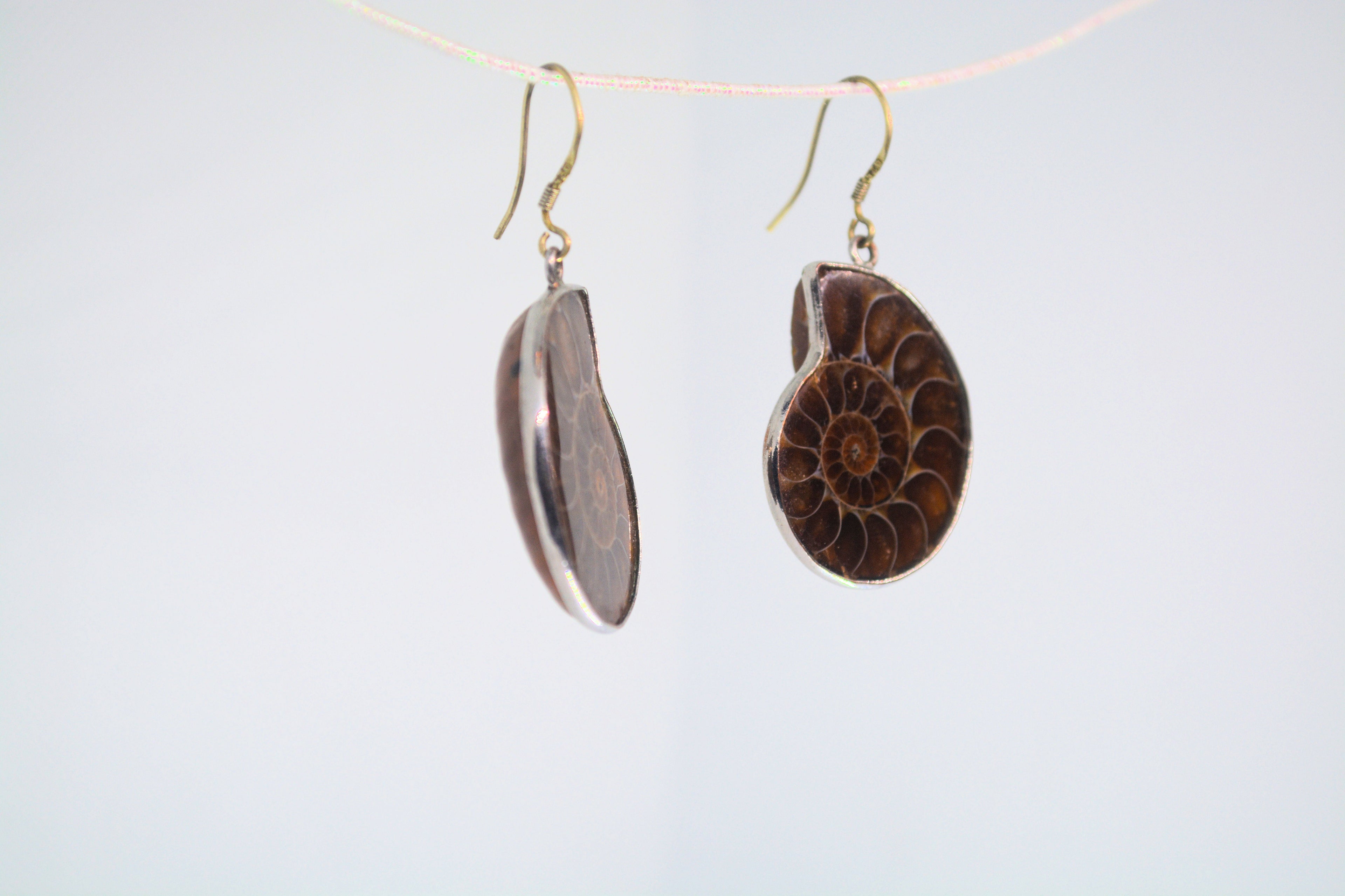 Just Neat Stuff Ammonite Fossil Earrings — lifestyle context