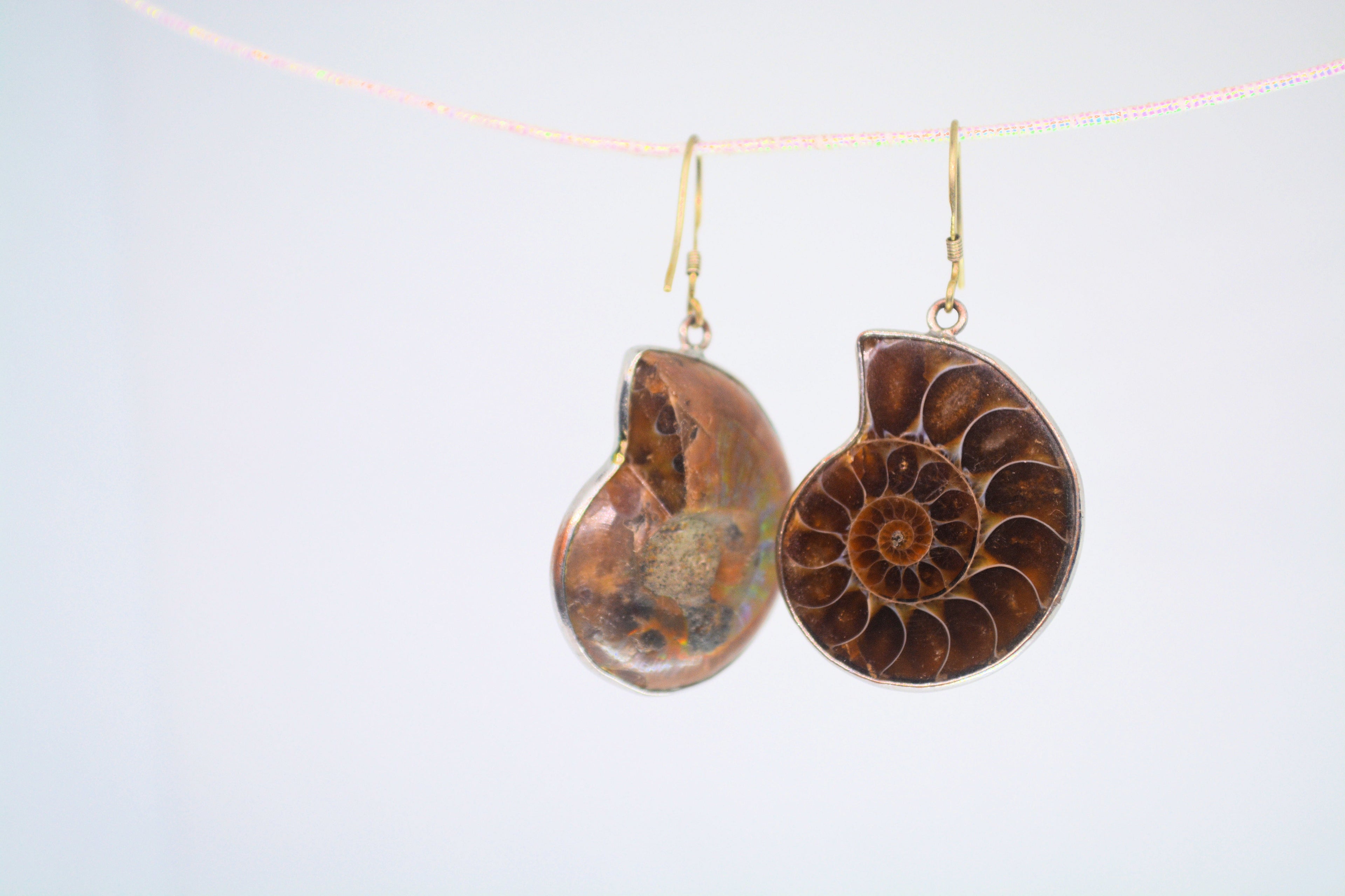 Just Neat Stuff Ammonite Fossil Earrings — side view