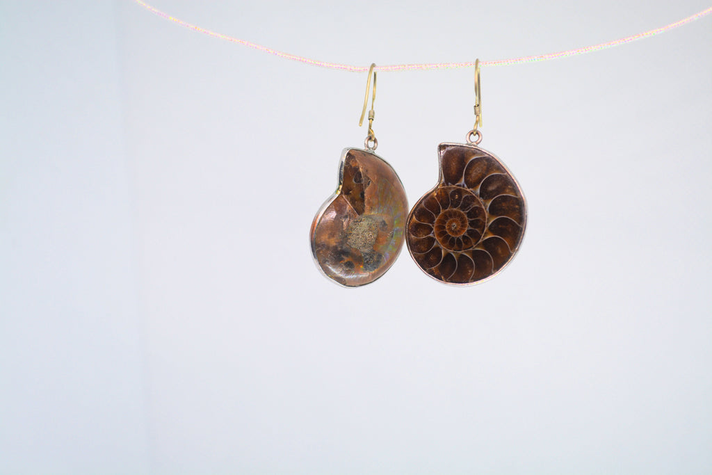 Just Neat Stuff Ammonite Fossil Earrings — back view