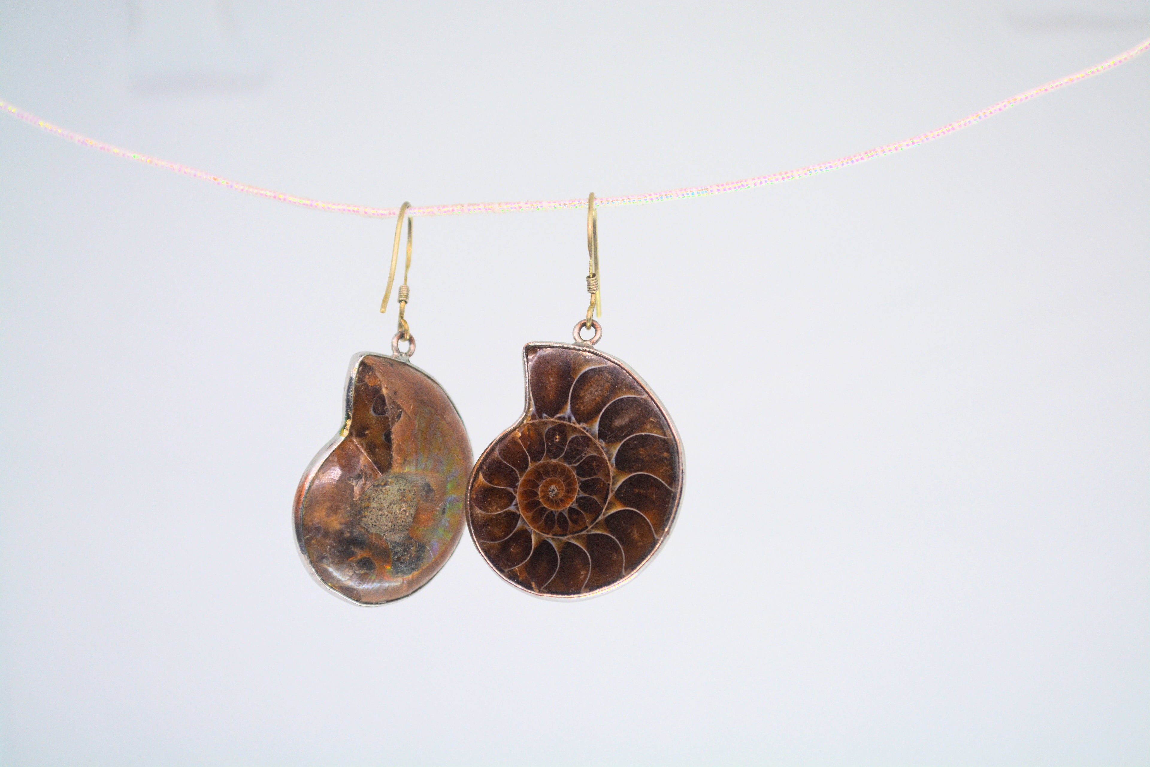 Just Neat Stuff Ammonite Fossil Earrings — alternative angle
