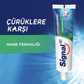 Signal Anti-Cavity Toothpaste with Pro-Fluoride Complex & Long-Lasting Freshness - 3.38 fl oz