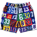 Bigger Than Basketball Hall of Fame - Shorts — main product shot