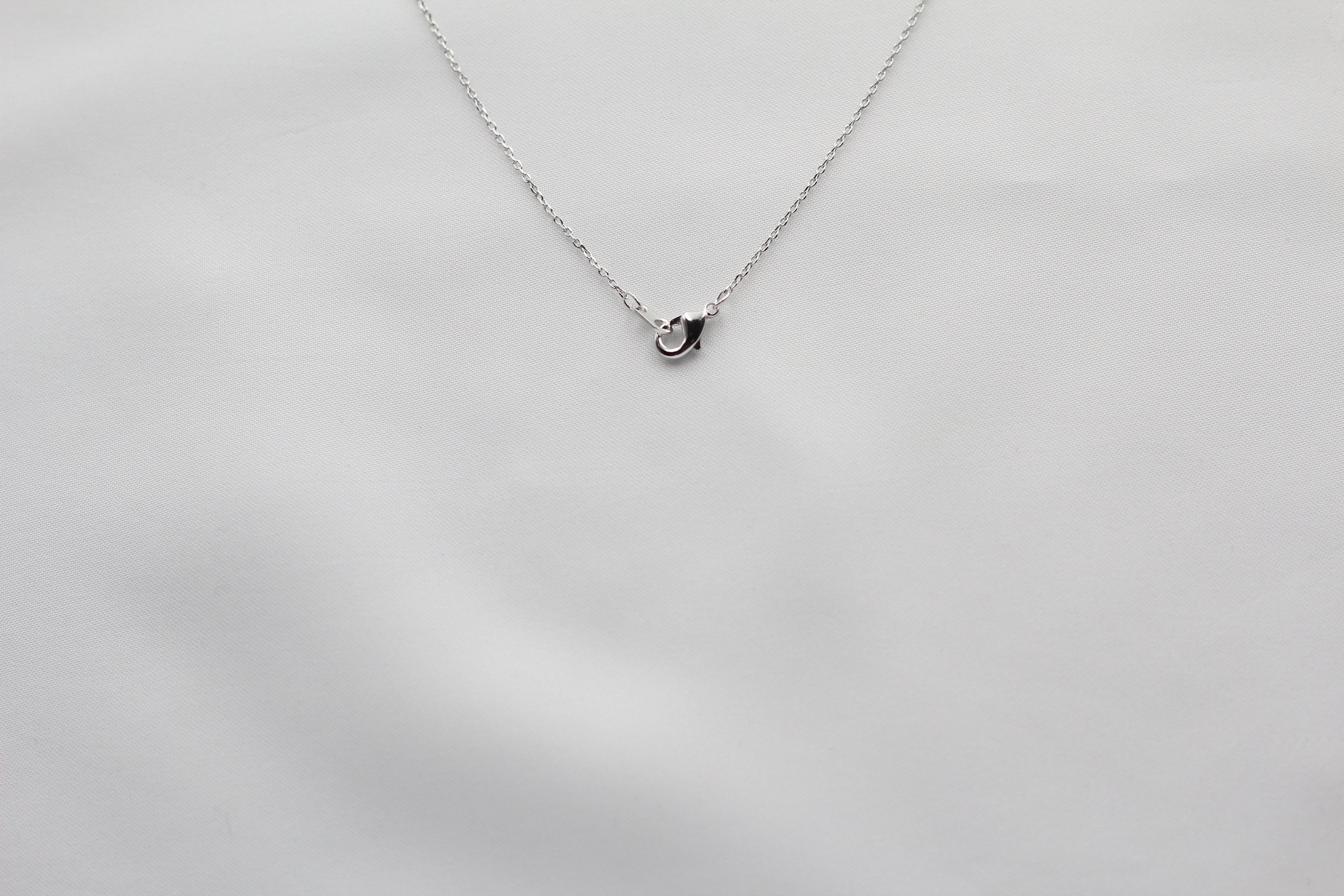 KADOU BOUTIQUE Texas State Map Necklace - Matte Polish — color detail