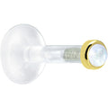 BodyCandy Solid 14K Yellow Gold 2mm Genuine Rainbow Moonstone Bioplast Push in Monroe — main product shot