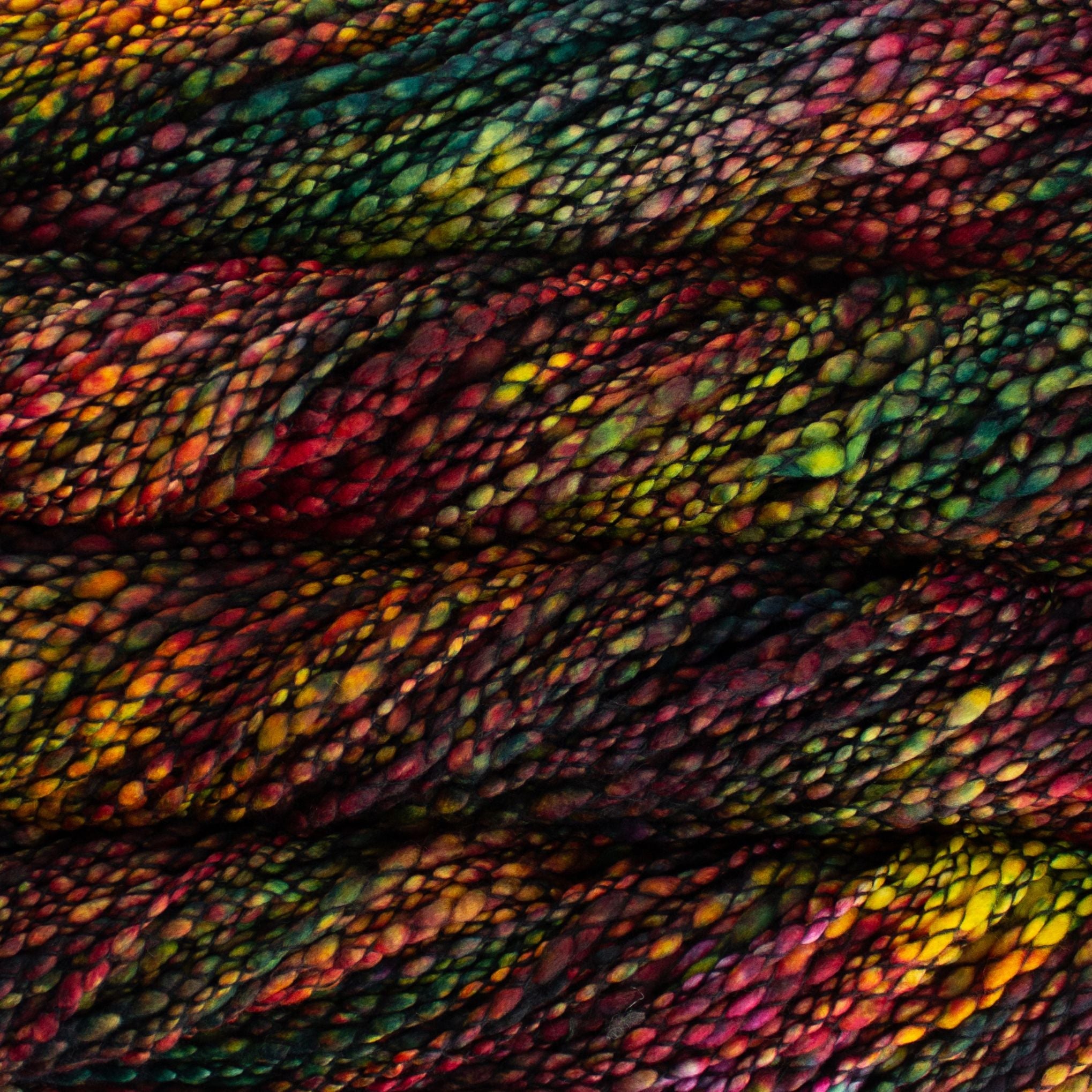 Darn Good Yarn Darn Good Yarn Malabrigo Caracol Yarn — detail shot 6