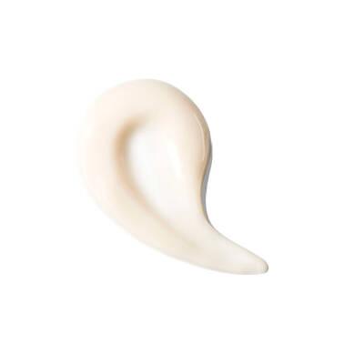 Institut Esthederm Intensive Propolis + Ferulic Acid Skin Perfecting Cream - Anti-aging Moisturizer for Oily Skin, Mattifying Cream, 1.69 fl oz