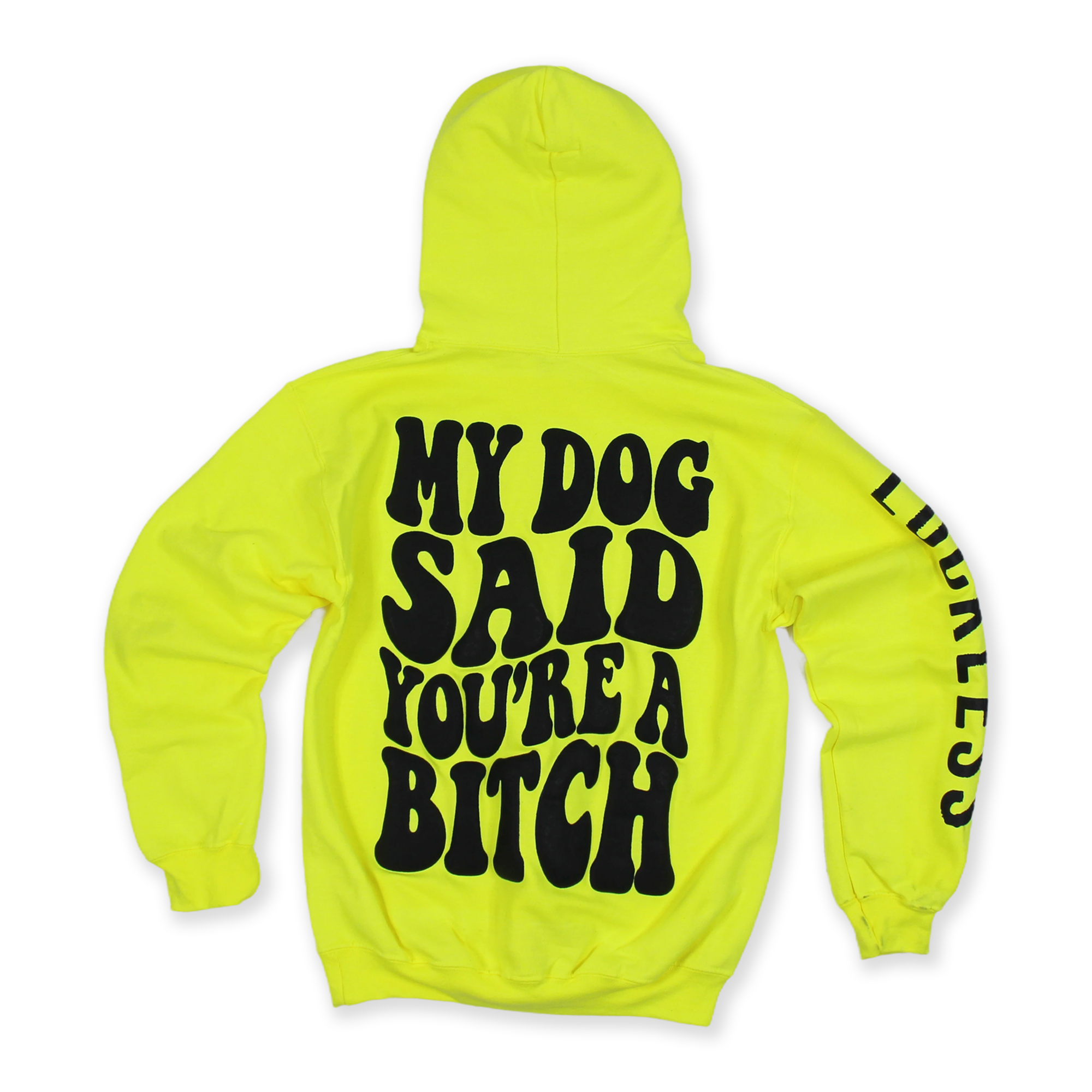 Luckless Outfitters My Dog Said You're A Bitch Hoodie — main product shot