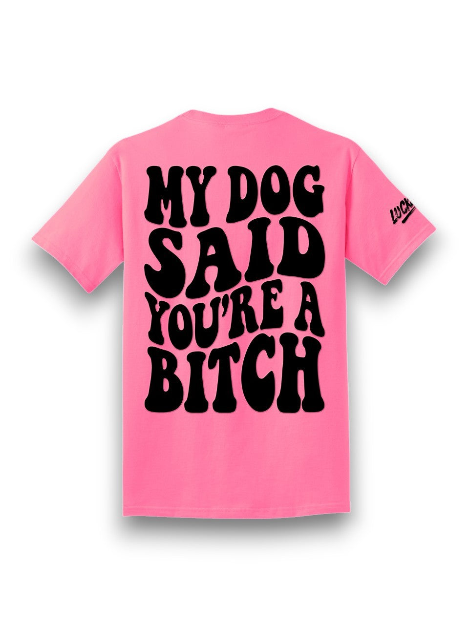Luckless Outfitters My Dog Said You're A Bitch Tee — main product shot