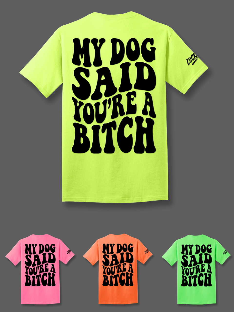 Luckless Outfitters My Dog Said You're A Bitch Tee — detail close-up