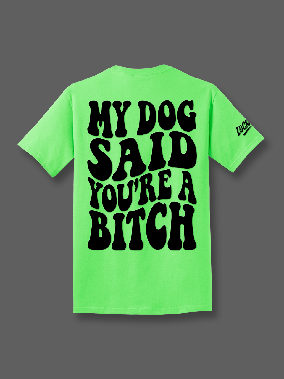 Luckless Outfitters My Dog Said You're A Bitch Tee — in-use photo